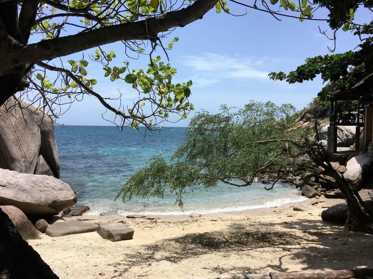 Tao Thong 1 * Ko Tao